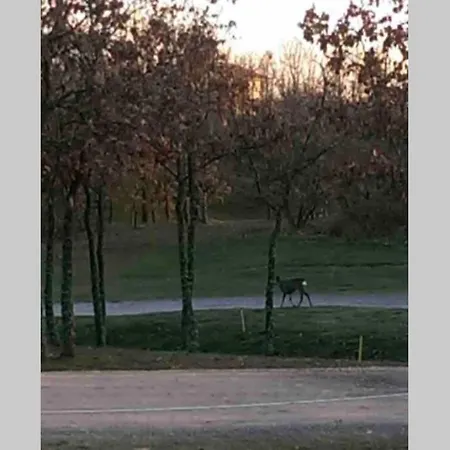 Golf Casakalma